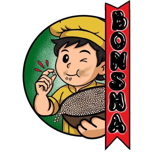 BONSHA DRY ICE CREAM BY PHINIX